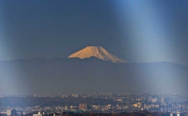 DSC_6778-2.jpg