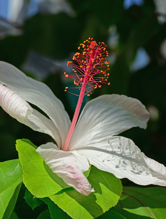 DSC_6779-2.jpg