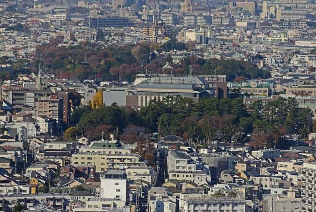 DSC_6783-2.jpg