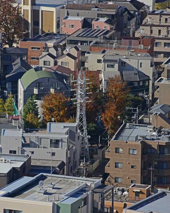 DSC_6790-2.jpg