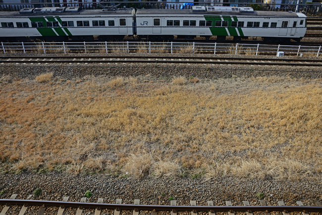 DSC_6792-2.jpg