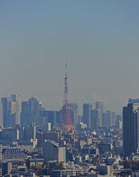 DSC_6804-2.jpg