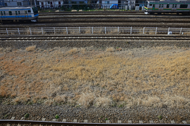 DSC_6811-2.jpg