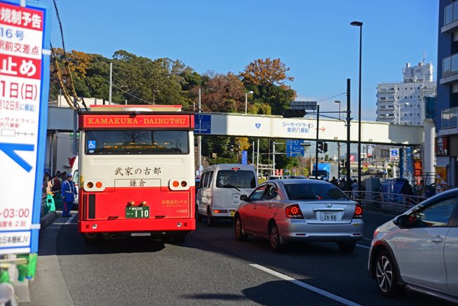 DSC_6811-2.jpg
