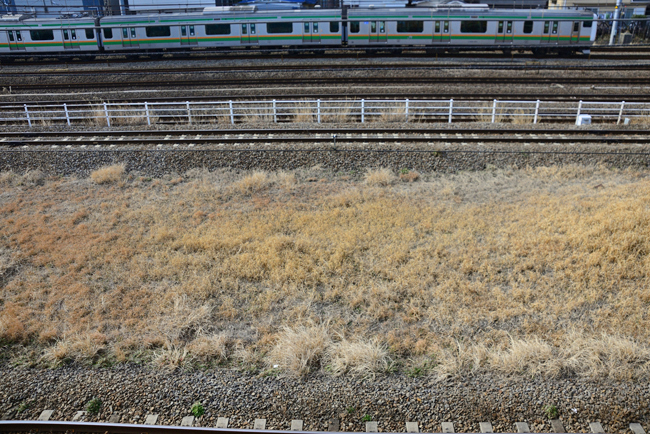DSC_6816-2.jpg