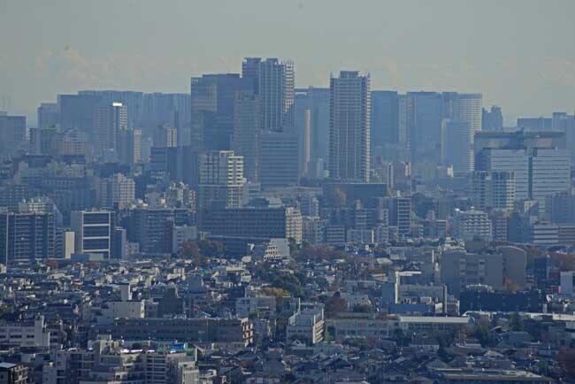DSC_6824-2.jpg