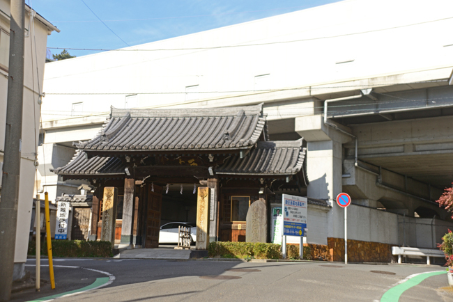 DSC_6911-2.jpg
