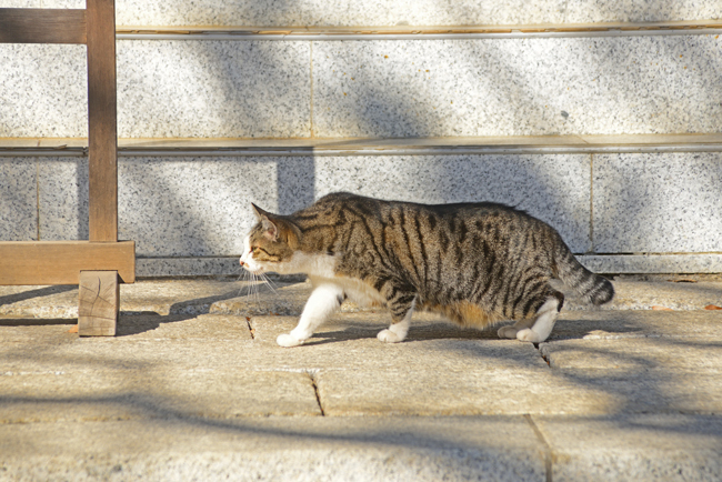 DSC_6945-2.jpg