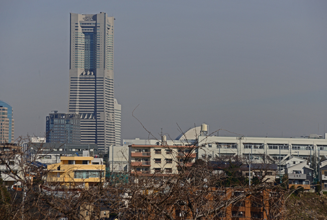 DSC_6952-2.jpg