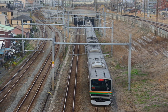 DSC_7003-2.jpg