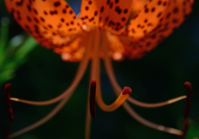 DSC_7022-2.jpg