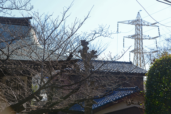 DSC_7028-2.jpg