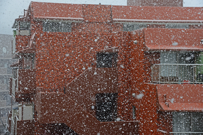 DSC_7049-2.jpg