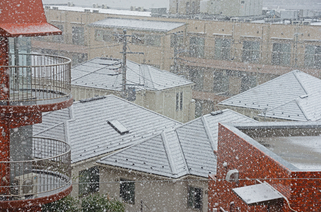 DSC_7050-2.jpg