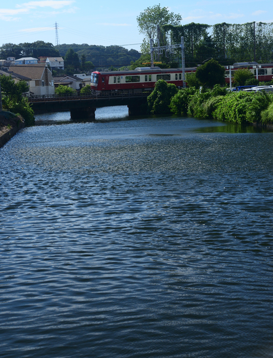 DSC_7050-4.jpg