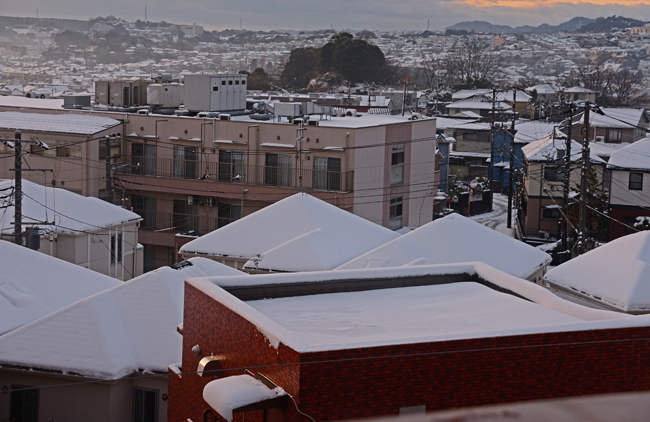 DSC_7052-2.jpg