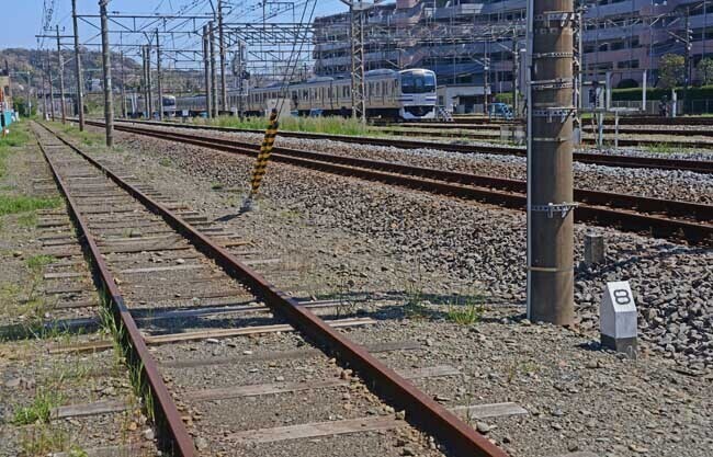 DSC_7077-3.jpg