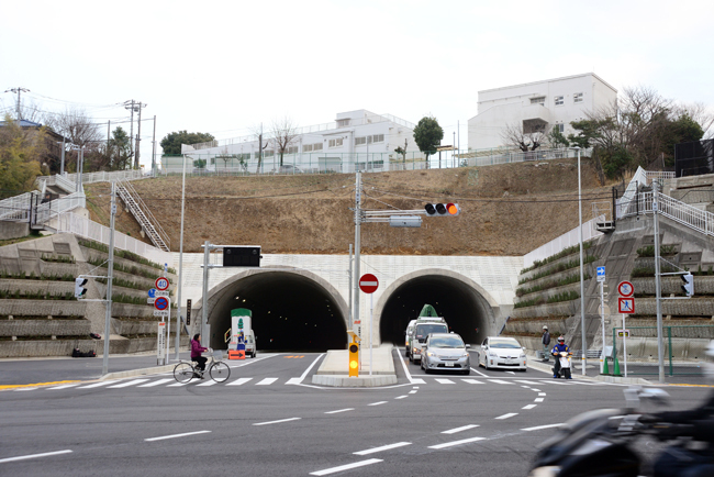 DSC_7086-2.jpg