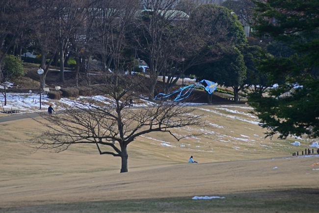 DSC_7089-2.jpg