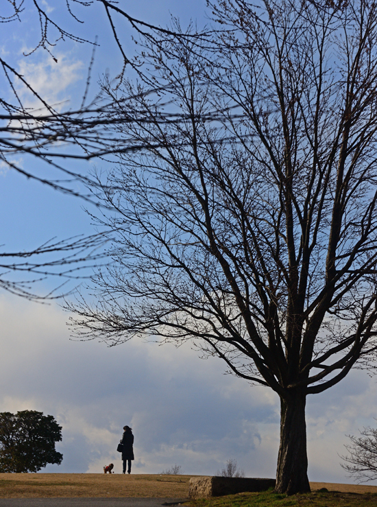 DSC_7099-2.jpg