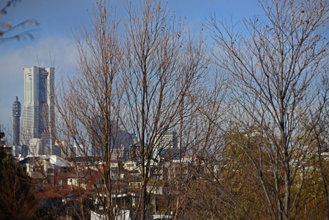 DSC_7114-2.jpg