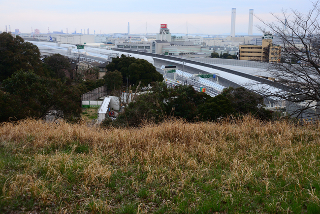 DSC_7115-2.jpg
