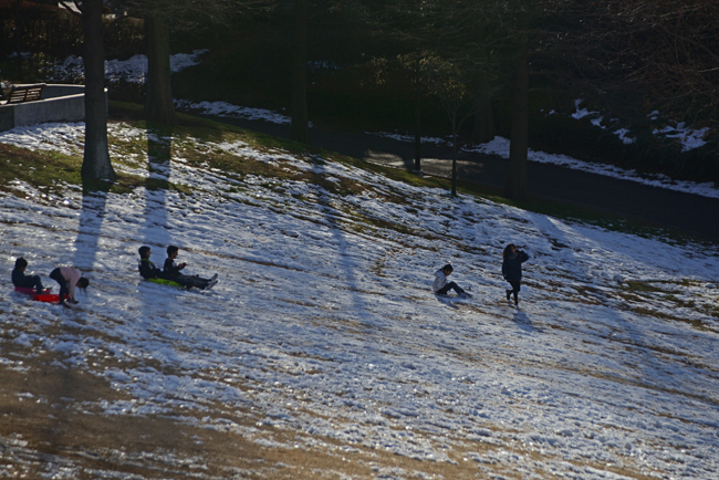 DSC_7117-2.jpg