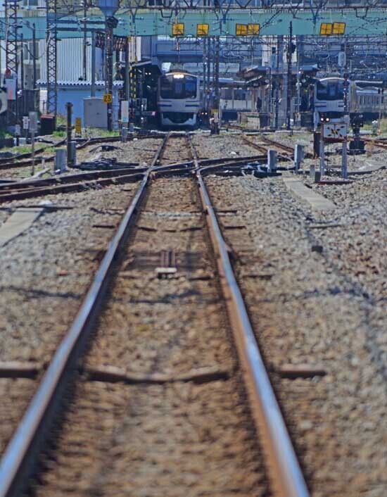 DSC_7128-3.jpg
