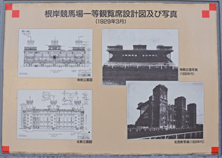 DSC_7138-3.jpg