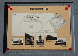 DSC_7147-2.jpg