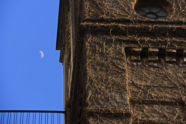 DSC_7155-2.jpg