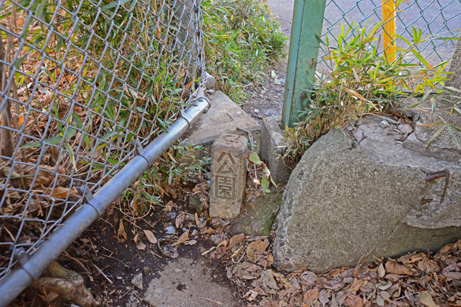 DSC_7177-2.jpg
