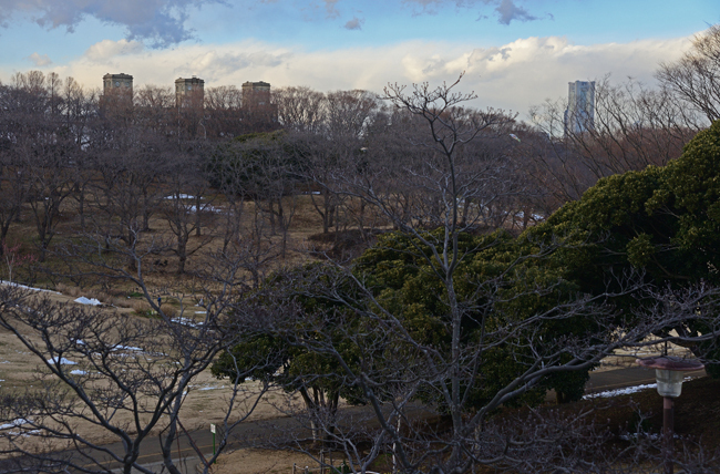 DSC_7218-2.jpg