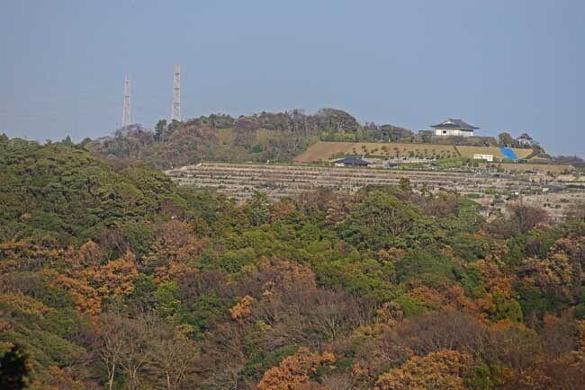 DSC_7247-2.jpg