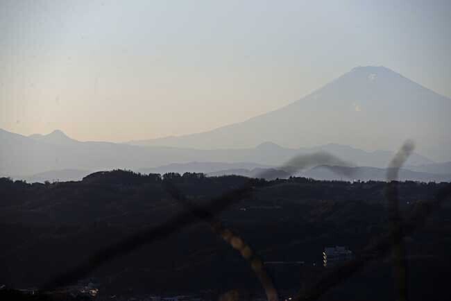 DSC_7279-3.jpg
