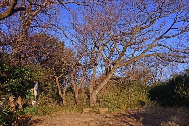 DSC_7281-2.jpg