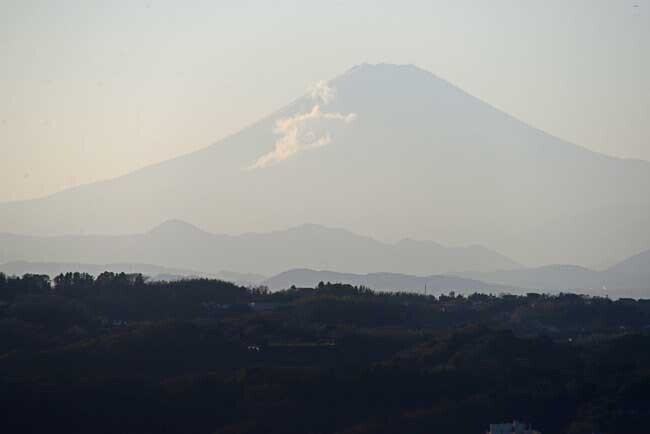 DSC_7295-2.jpg