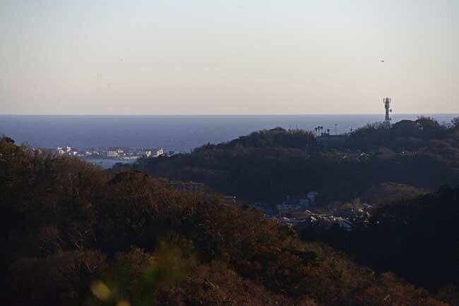 DSC_7297-2.jpg