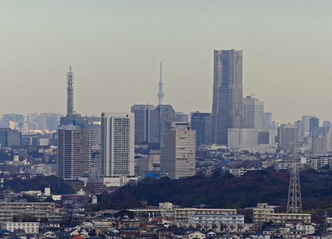 DSC_7407-3.jpg