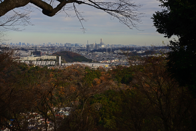DSC_7410-2.jpg