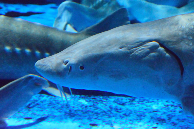 DSC_7424-2.jpg