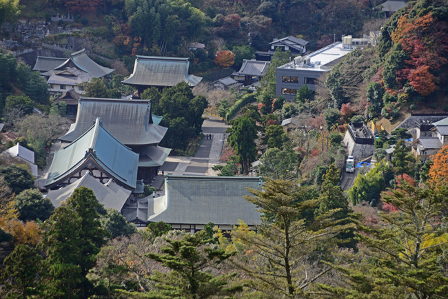 DSC_7426-2.jpg