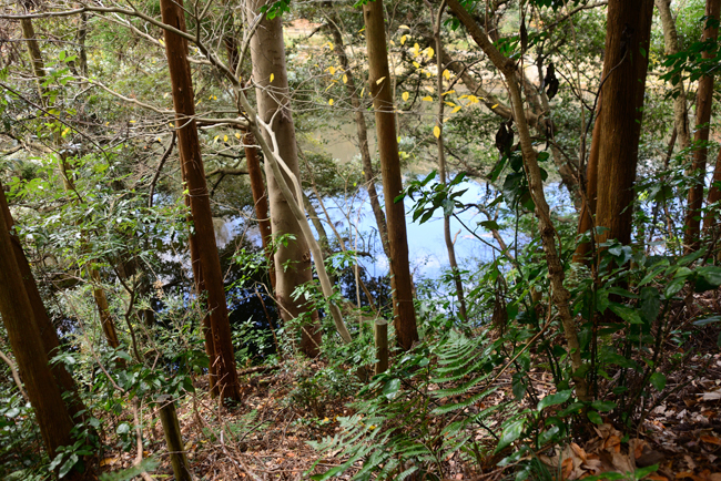 DSC_7489-2.jpg