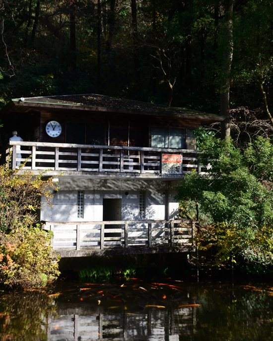 DSC_7514-2.jpg
