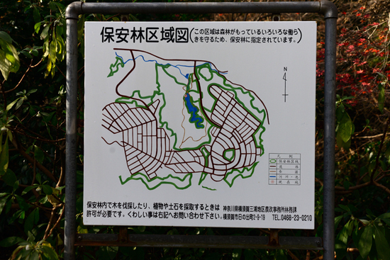 DSC_7525-2.jpg