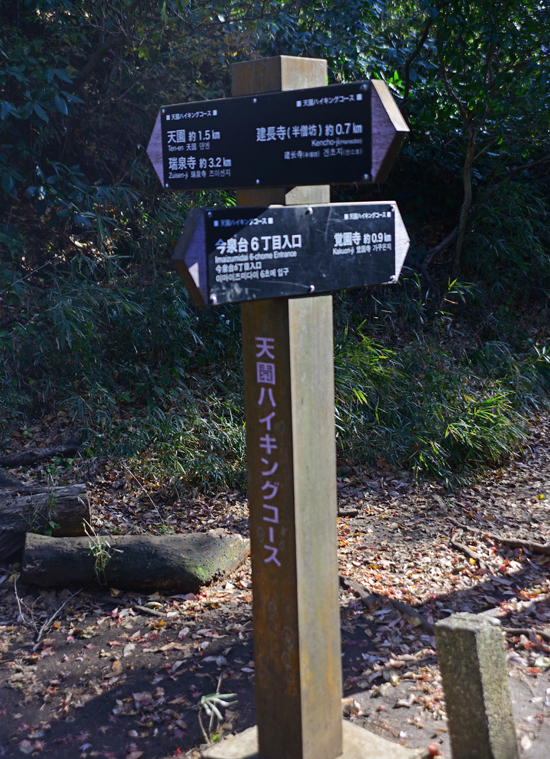 DSC_7542-2.jpg