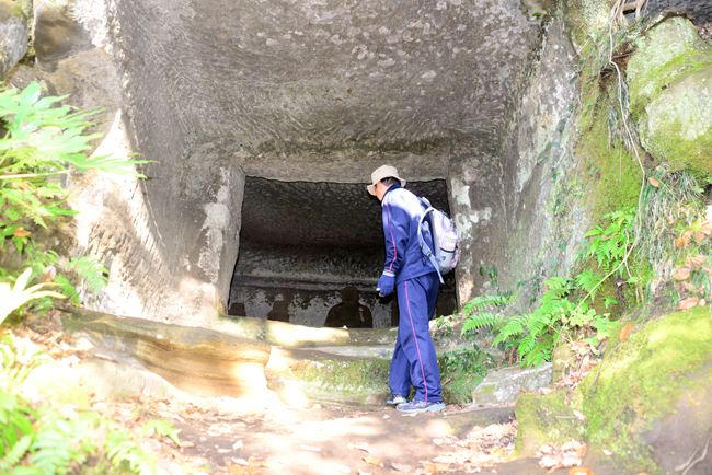 DSC_7556-2.jpg