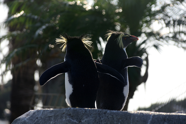 DSC_7593-2.jpg