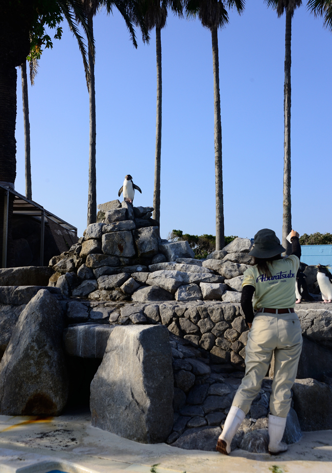 DSC_7595-2.jpg