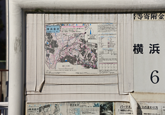 DSC_7666-2.jpg